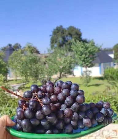 Trullo Iris مكان تخييم