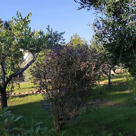 Trullo Iris