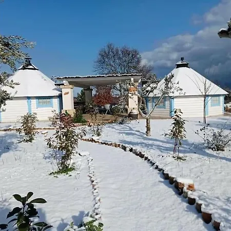 Trullo Iris Cisternino